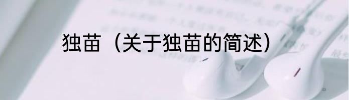 独苗（关于独苗的简述）
