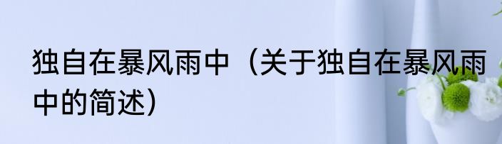 独自在暴风雨中（关于独自在暴风雨中的简述）
