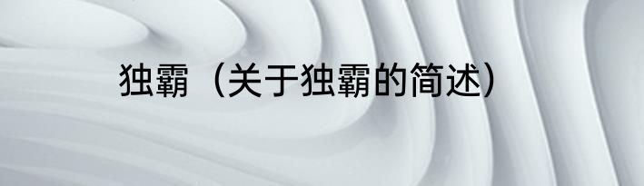 独霸（关于独霸的简述）