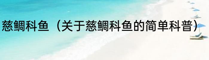 慈鲷科鱼（关于慈鲷科鱼的简单科普）