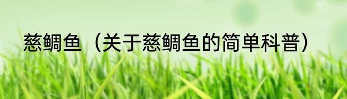 慈鲷鱼（关于慈鲷鱼的简单科普）