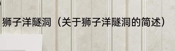 狮子洋隧洞（关于狮子洋隧洞的简述）