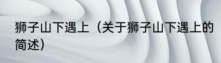 狮子山下遇上（关于狮子山下遇上的简述）