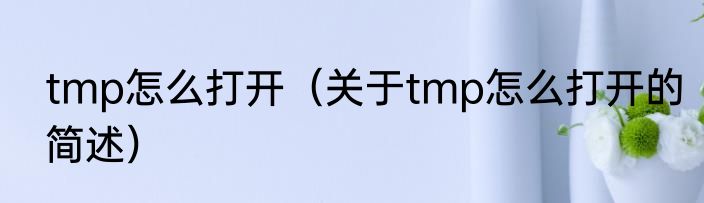 tmp怎么打开（关于tmp怎么打开的简述）