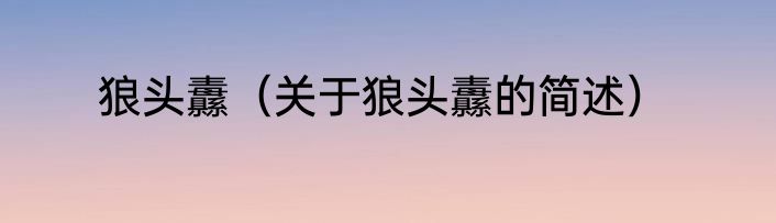 狼头纛（关于狼头纛的简述）