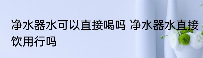 净水器水可以直接喝吗 净水器水直接饮用行吗