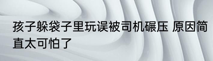 孩子躲袋子里玩误被司机碾压 原因简直太可怕了