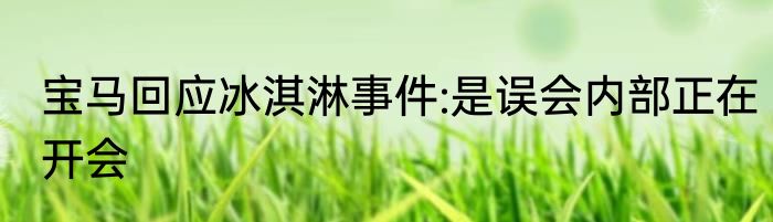 宝马回应冰淇淋事件:是误会内部正在开会