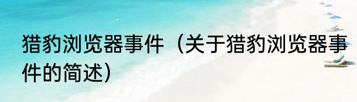 猎豹浏览器事件（关于猎豹浏览器事件的简述）