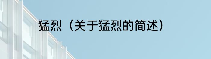 猛烈（关于猛烈的简述）