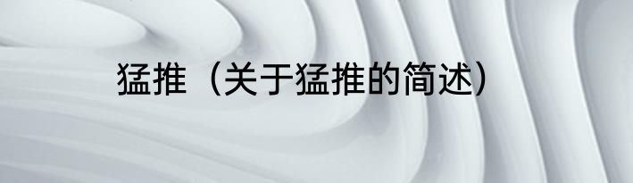 猛推（关于猛推的简述）