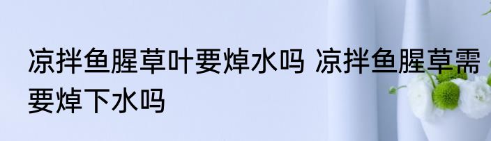 凉拌鱼腥草叶要焯水吗 凉拌鱼腥草需要焯下水吗
