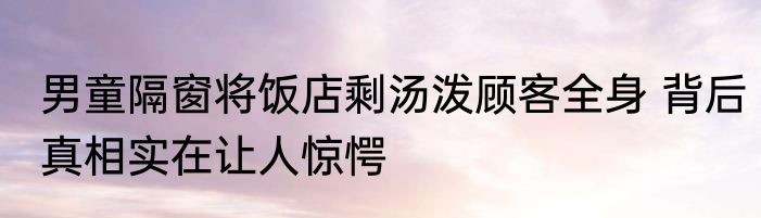 猥品（关于猥品的简述）