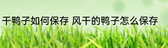 干鸭子如何保存 风干的鸭子怎么保存
