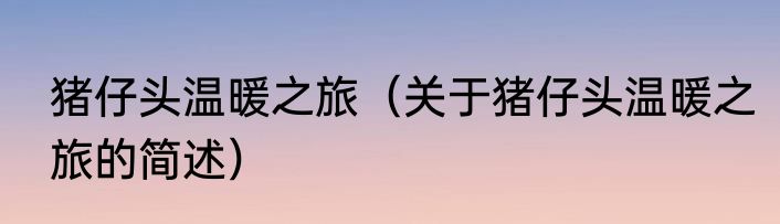 猪仔头温暖之旅（关于猪仔头温暖之旅的简述）