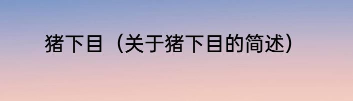 猪下目（关于猪下目的简述）