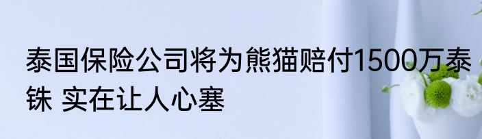 泰国保险公司将为熊猫赔付1500万泰铢 实在让人心塞