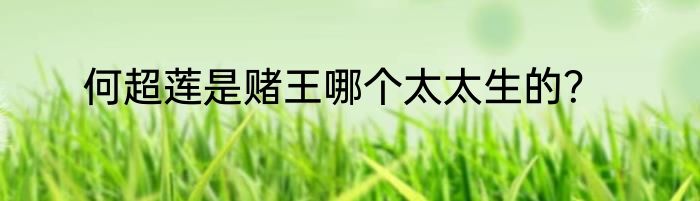 何超莲是赌王哪个太太生的？