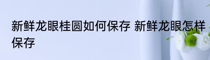 猪肉丸子（关于猪肉丸子的简述）