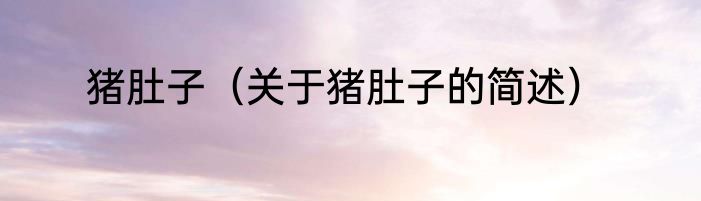 猪肚子（关于猪肚子的简述）