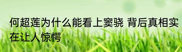 何超莲为什么能看上窦骁 背后真相实在让人惊愕