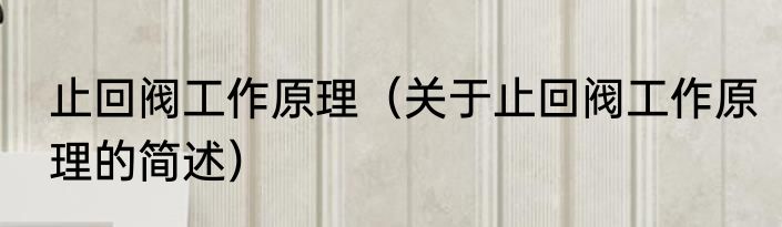 止回阀工作原理（关于止回阀工作原理的简述）