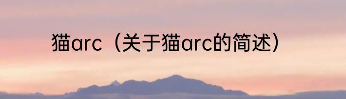 猫arc（关于猫arc的简述）
