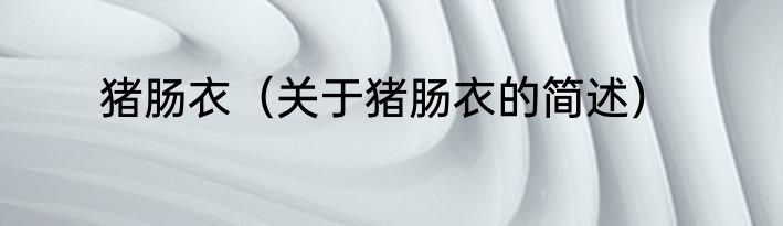 猪肠衣（关于猪肠衣的简述）