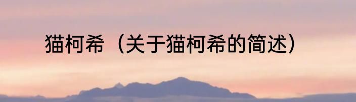 猫柯希（关于猫柯希的简述）