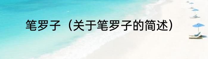 笔罗子（关于笔罗子的简述）