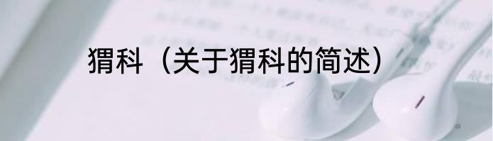 猬科（关于猬科的简述）