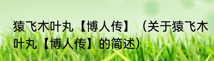 猿飞木叶丸【博人传】（关于猿飞木叶丸【博人传】的简述）