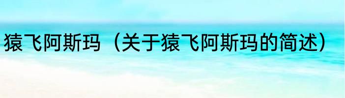 猿飞阿斯玛（关于猿飞阿斯玛的简述）