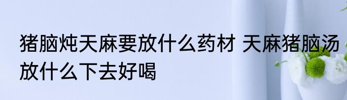 猪脑炖天麻要放什么药材 天麻猪脑汤放什么下去好喝