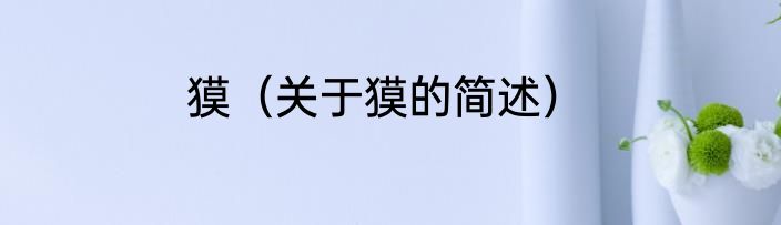 獏（关于獏的简述）