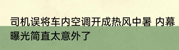 司机误将车内空调开成热风中暑 内幕曝光简直太意外了