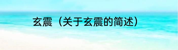玄震（关于玄震的简述）