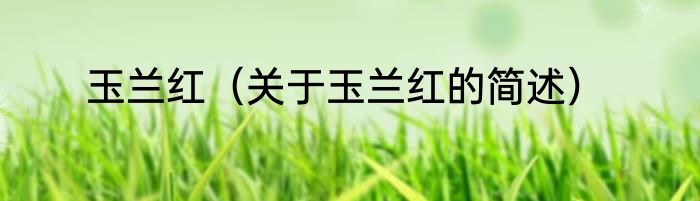 玉兰红（关于玉兰红的简述）