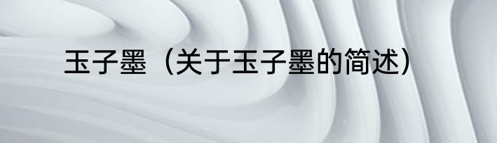 玉子墨（关于玉子墨的简述）