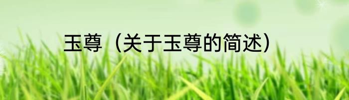玉容肥皂（关于玉容肥皂的简述）