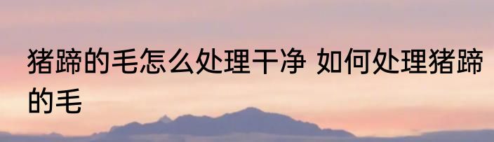猪蹄的毛怎么处理干净 如何处理猪蹄的毛