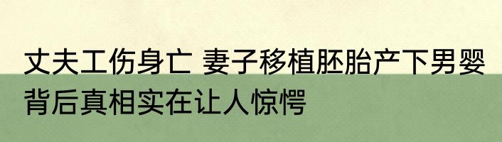 丈夫工伤身亡 妻子移植胚胎产下男婴 背后真相实在让人惊愕