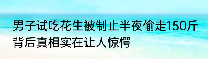 男子试吃花生被制止半夜偷走150斤 背后真相实在让人惊愕