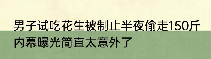 男子试吃花生被制止半夜偷走150斤 内幕曝光简直太意外了