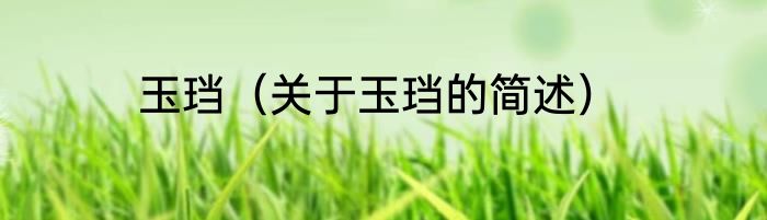 玉珰（关于玉珰的简述）