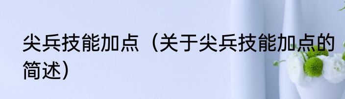 尖兵技能加点（关于尖兵技能加点的简述）