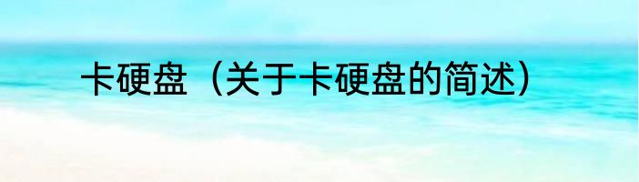 卡硬盘（关于卡硬盘的简述）