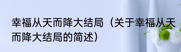 幸福从天而降大结局（关于幸福从天而降大结局的简述）