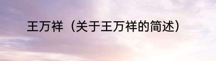 王万祥（关于王万祥的简述）