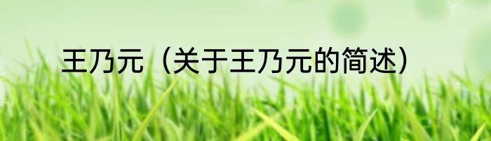 王乃元（关于王乃元的简述）